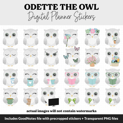 Odette the Owl Digital Planner Stickers | GoodNotes, iPad and Android | April, Spring, Kawaii, Activities